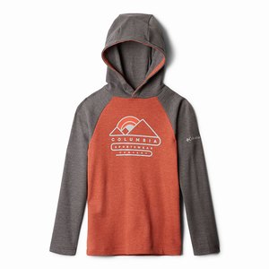 Columbia Trulli Trails™ Waffle Hoodie Pojkar Bruna/MörkGrå (UZYWI3251)